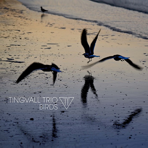 Tingvall Trio Birds